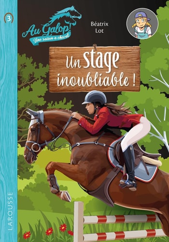 Au Galop ! - Un stage inoubliable - Béatrix Lot - Livre d'occasion