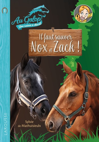 Au Galop ! - Il faut sauver Nox et Zach ! - Sylvie de Mathuisieulx - Livre d'occasion
