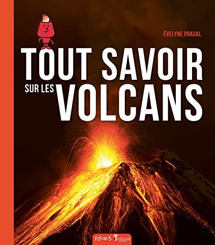 Tout savoir sur les volcans - Evelyne Pradal - Livre d'occasion