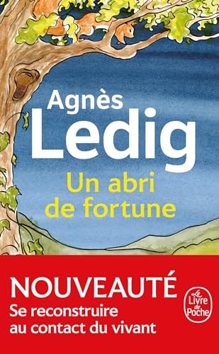 Un abri de fortune - Agnès Ledig (Poche) - Livre d'occasion