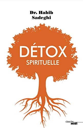 Détox spirituelle - Habib Sadeghi (Grand format) - Livre d'occasion