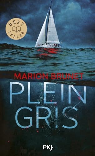 Plein gris - Marion Brunet (Poche) - Livre d'occasion