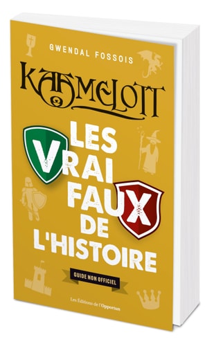 [OCC001920] Kaamelott - Les vrai / faux de l'histoire - Gwendal Fossois (Grand format) - Livre d'occasion
