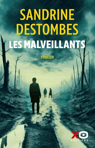 Les Malveillants - Sandrine Destombes (Grand format) - Livre d'occasion