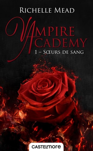 Soeurs de sang - Richelle Mead (Poche) - Livre d'occasion