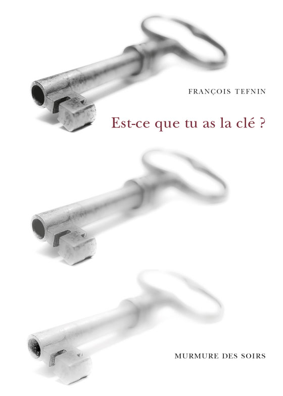 Est-ce que tu as la clé ? - François Tefnin (Grand format) - Livre d'occasion
