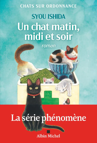 Un chat matin, midi et soir - Ishida, Syou (Grand format) - Livre d'occasion