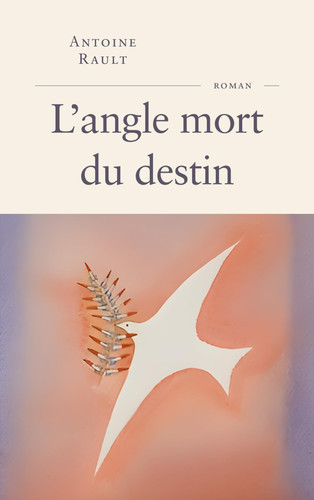 L'angle mort du destin - Rault, Antoine (Grand format) - Livre d'occasion