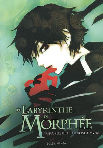 Le labyrinthe de Morphée - Livre d'occasion