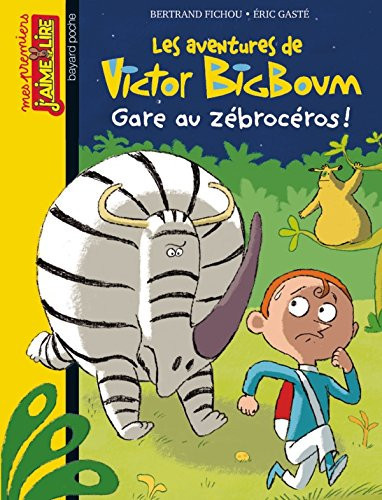 [OCC003624] Gare au zébrocéros ! - Bertrand Fichou (Grand format) - Livre d'occasion