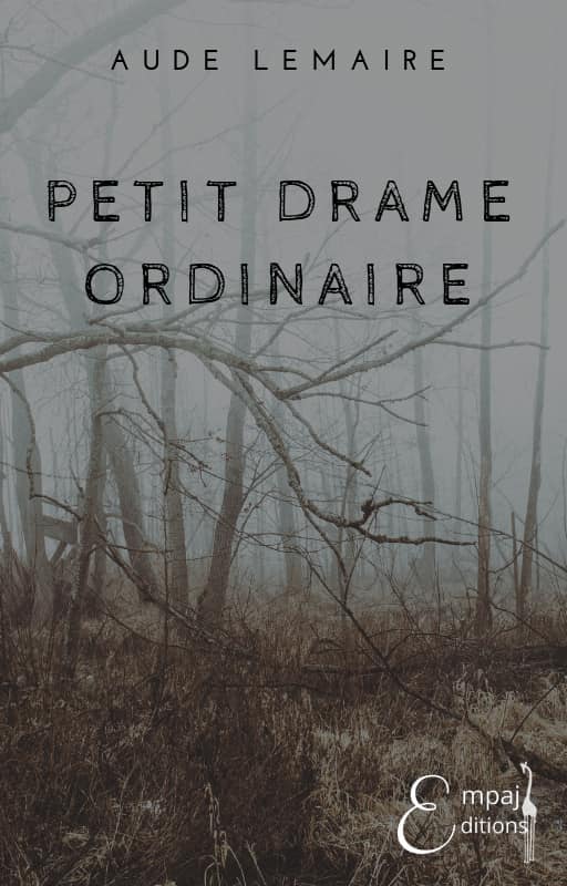 Petit drame ordinaire - Aude Lemaire (Grand format) - Livre d'occasion