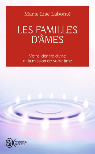 Les familles d'âmes Selon les enseignements des Anges Xedah et de l'Archange Michaël - Marie-Lise Labonté (Poche) - Livre d'occasion