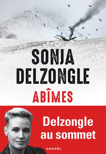 Abîmes - Sonja Delzongle (Grand format) - Livre d'occasion
