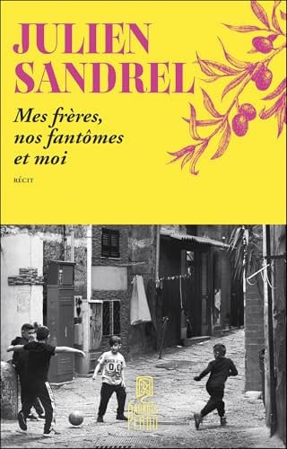 Mes frères, nos fantômes et moi - Sandrel, Julien (Grand format) - Livre d'occasion