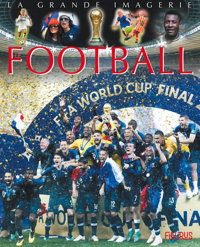 Le football - Jacques Delaroche, Jack Delaroche, Christine Sagnier, Christophe Beaumont - Livre d'occasion