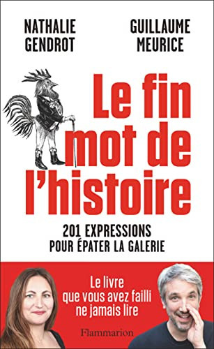[OCC004299] Le fin mot de l'histoire 201 expressions pour épater la galerie - Nathalie Gendrot, Guillaume Meurice (Grand format) - Livre d'occasion