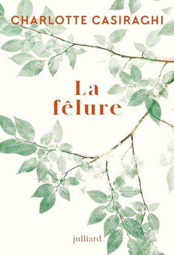 [OCC004498] La fêlure - Livre d'occasion