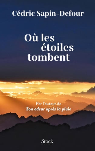 [OCC004538] Où les étoiles tombent - Livre d'occasion