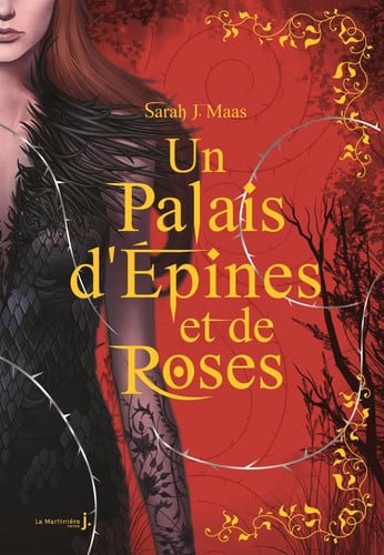 [OCC004557] Un Palais d'épines et de roses T1 - Collector: Un Palais d'é - Livre d'occasion