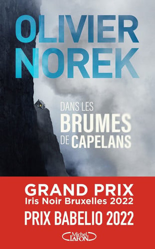 Dans les brumes de Capelans - Livre d'occasion