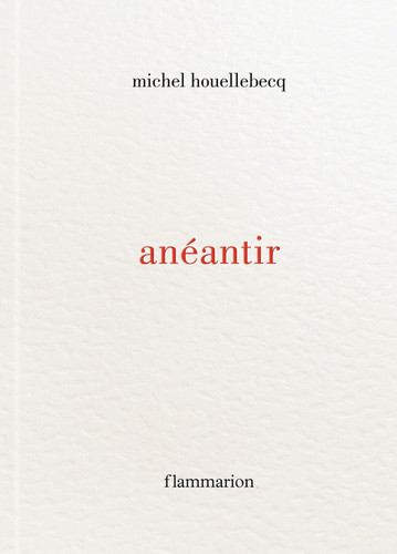 Anéantir - Livre d'occasion