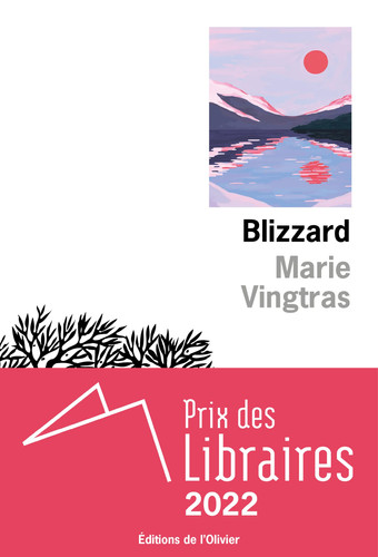 Blizzard - Livre d'occasion