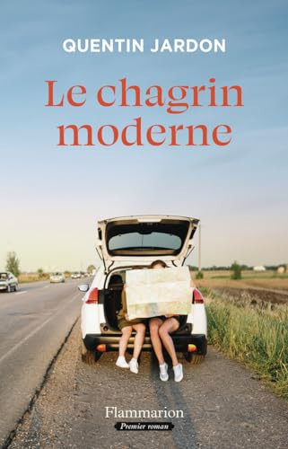 Le chagrin moderne - Livre d'occasion