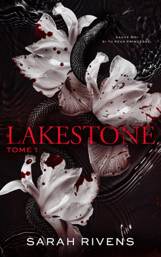 Lakestone - tome 1: Après Captive, le nouveau roman phénomèn - Livre d'occasion
