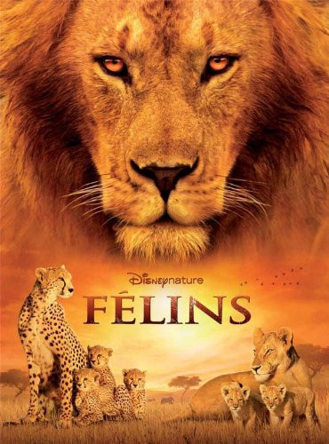 Félins - Livre d'occasion