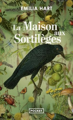 La Maison aux sortilèges - Livre d'occasion