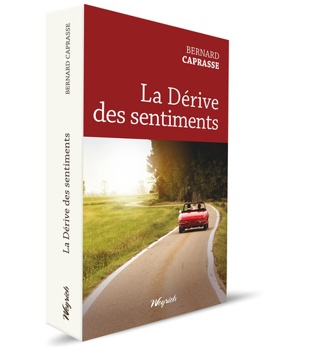 La Dérive des sentiments - Livre d'occasion
