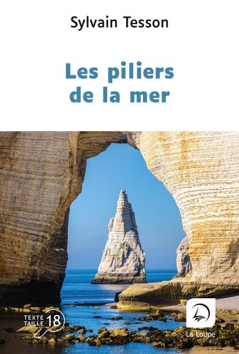 Les piliers de la mer - Sylvain Tesson (Grand format) - Livre d'occasion