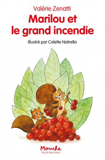 Marilou et le grand incendie - Valérie Zenatti - Livre d'occasion