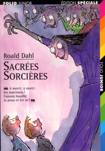 Sacrées sorcières - Roald Dahl - Livre d'occasion