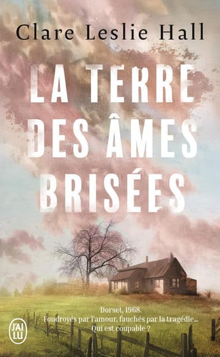 La terre des âmes brisées - Hall, Clare Leslie (Poche) - Livre d'occasion