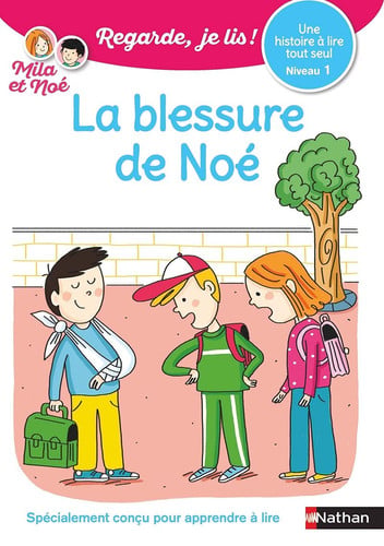 La blessure de Noé - Battut, Éric - Livre d'occasion