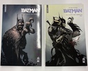 Batman - La Cour des Hiboux - Tomes 1 et 2