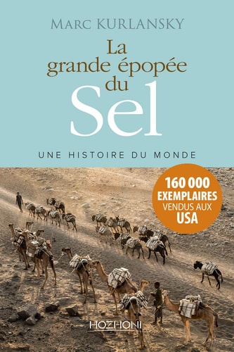 La grande épopée du sel Une histoire du monde - Mark Kurlansky (Poche) - Livre d'occasion